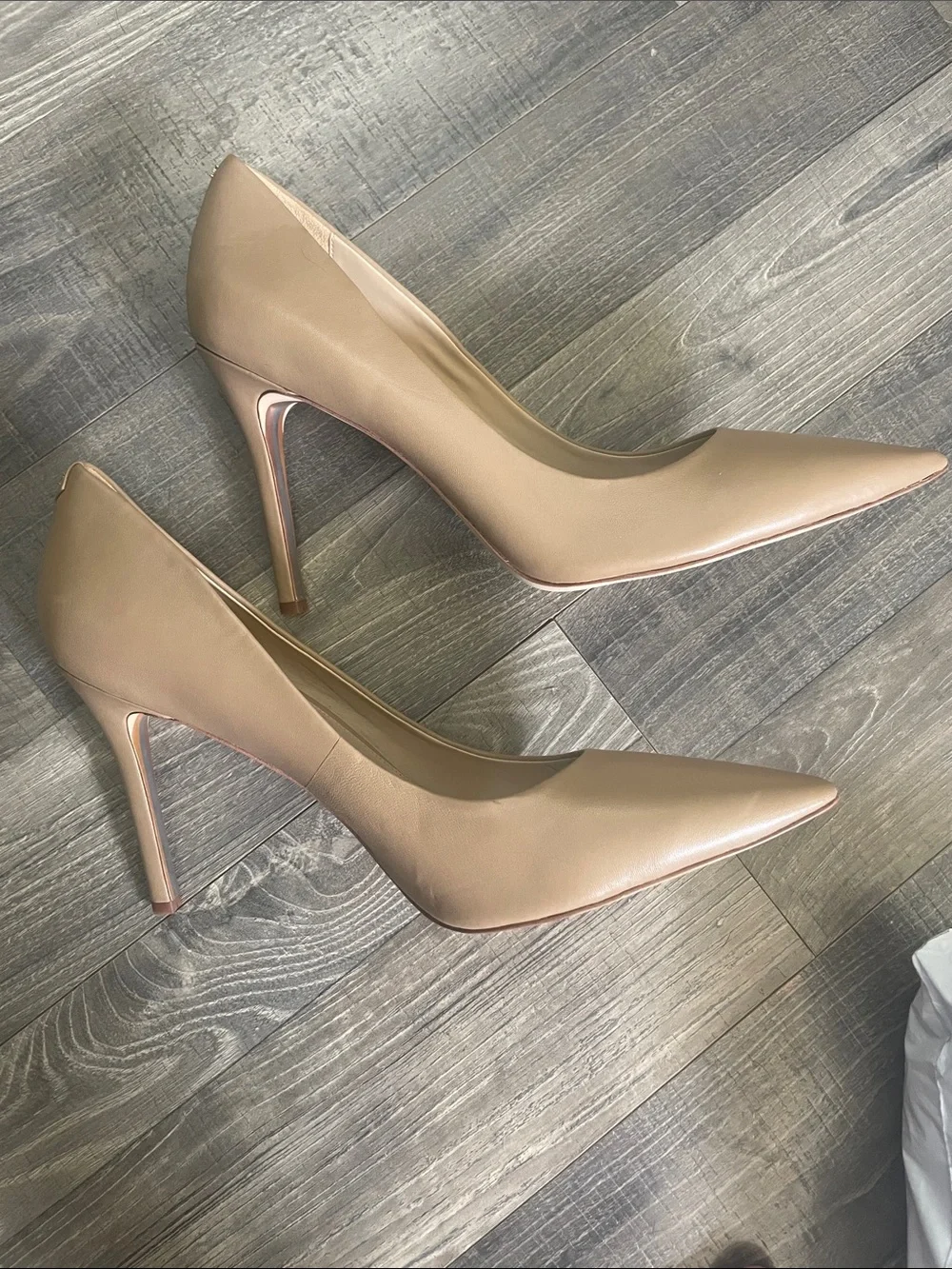 Sam Edelman Pointed-Toe  Hazel Pumps in Light Natural